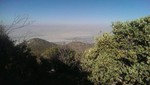 photo thumbnail #9