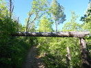 photo thumbnail #5