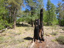 photo thumbnail #11