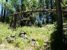 photo thumbnail #9