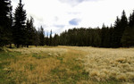 photo thumbnail #8