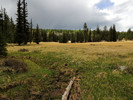 photo thumbnail #11