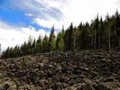 photo thumbnail #15