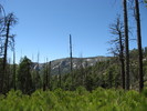 photo thumbnail #14