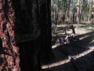photo thumbnail #2