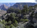 photo thumbnail #12