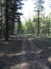 photo thumbnail #14