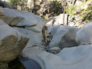 photo thumbnail #14