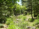 photo thumbnail #11