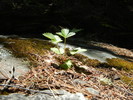 photo thumbnail #10