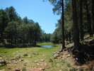 photo thumbnail #2