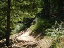 photo thumbnail #1