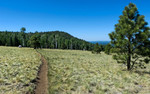 photo thumbnail #6