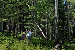 photo thumbnail #9