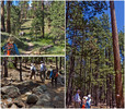 photo thumbnail #15