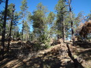 photo thumbnail #1