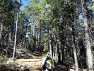 photo thumbnail #4