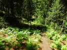 photo thumbnail #1