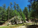 photo thumbnail #6