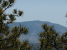 photo thumbnail #13