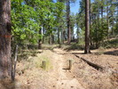 photo thumbnail #3