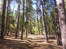 photo thumbnail #5