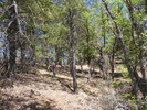 photo thumbnail #12
