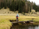 photo thumbnail #7