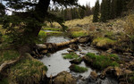photo thumbnail #9