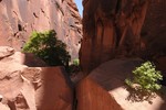 photo thumbnail #15
