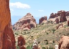 photo thumbnail #8