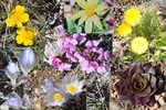 photo thumbnail #10