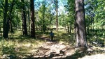 photo thumbnail #2