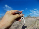 photo thumbnail #2