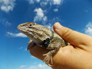photo thumbnail #3
