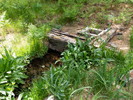 photo thumbnail #9