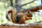 photo thumbnail #13