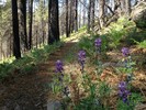 photo thumbnail #12