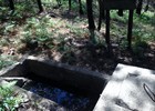 photo thumbnail #13