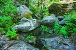 photo thumbnail #9