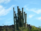 photo thumbnail #2