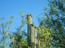 photo thumbnail #3