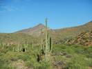 photo thumbnail #4
