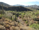 photo thumbnail #10