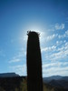 photo thumbnail #15
