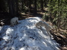 photo thumbnail #13