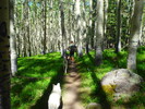 photo thumbnail #14