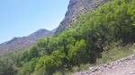 photo thumbnail #6
