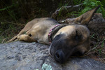photo thumbnail #6