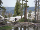 photo thumbnail #8